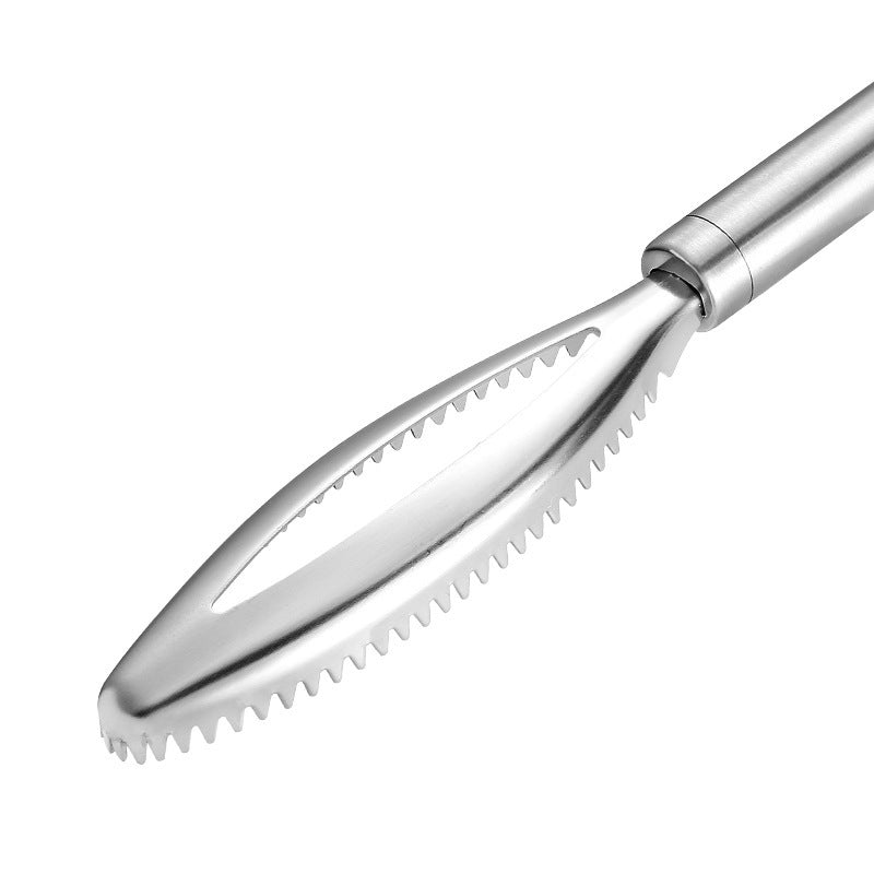 430 Stainless Steel Fish Scale Remover Kitchen Tool